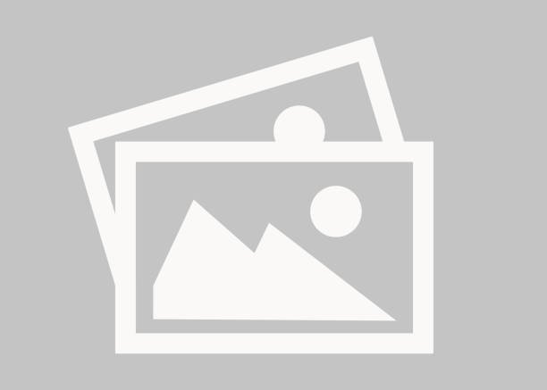 Top 15 Most Popular Adult Film Stars in 2025